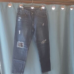 Iris Jeans Distressed Blue Jeans